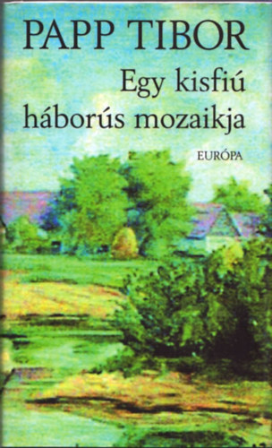 Papp Tibor - Egy kisfi hbors mozaikja