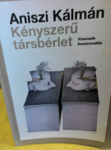 Aniszi Kálmán - Kényszerű társbérlet