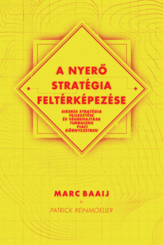 Marc Baaij, Patrick Reinmoeller - A nyer stratgia feltrkpezse