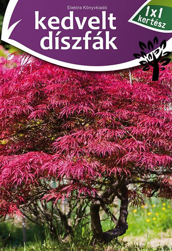 Kedvelt dszfk - 1x1 kertsz