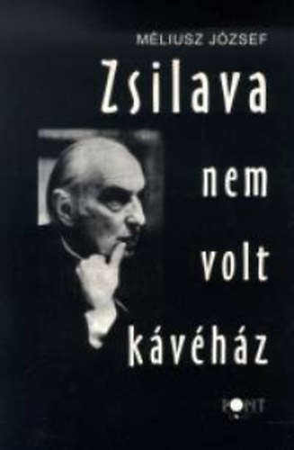 Mliusz Jzsef - Zsilava nem volt kvhz