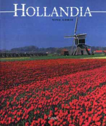 Nino Gorio - Hollandia