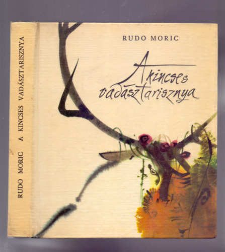 Rudo Moric - A kincses vad�sztarisznya (Miroslav Han�k k�peivel)