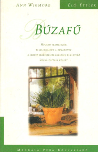 Ann Wigmore - Bzaf