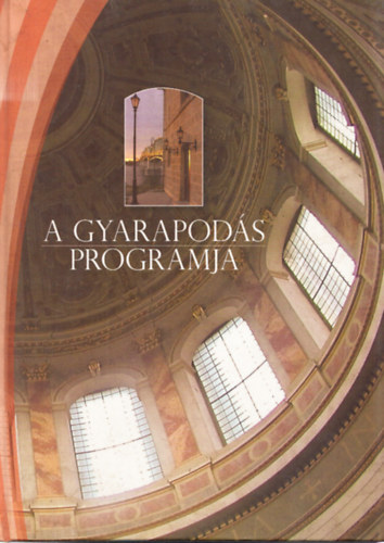 Meggyes Tamás - A gyarapodás programja