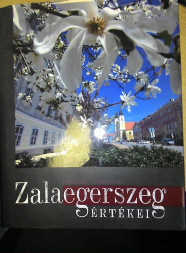 Seres Pter (fszerk.) - Zalaegerszeg rtkei