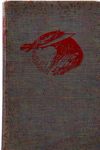 Boksay Antal - A fogoly repülőtiszt