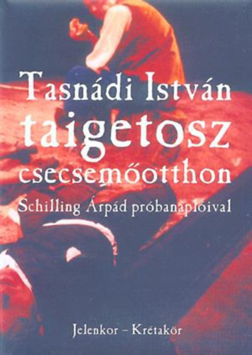 Tasndi Istvn - Taigetosz csecsemotthon