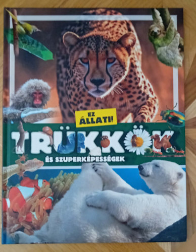 Bagoly Ilona - Tr�kk�k �s szuper�rdekess�gek (Ez �llati sorozat)