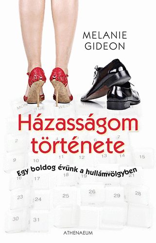 Melanie Gideon - Hzassgom trtnete - Egy boldog vnk a hullmvlgyben