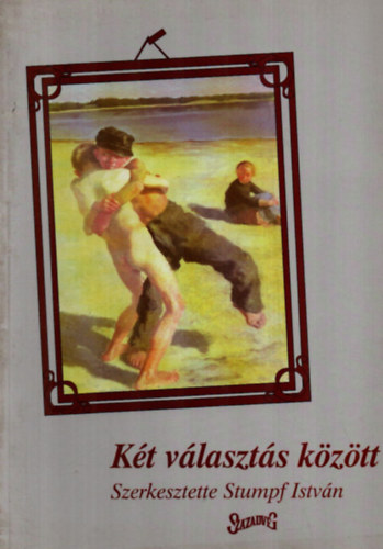 Stumpf Istvn (szerk.) - Kt vlaszts kztt