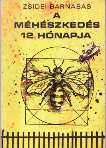 Zsidei Barnabs - A mhszkeds 12 hnapja