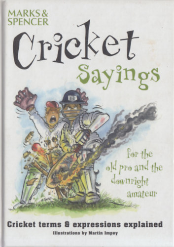 Cricket Sayings - Cricket Terms & Expressions Explained