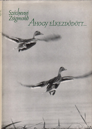 Széchenyi Zsigmond - Ahogy elkezdődött...