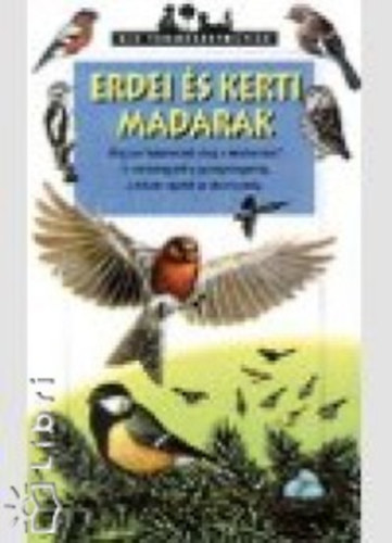 Tracqui, Valrie - Erdei s kerti madarak