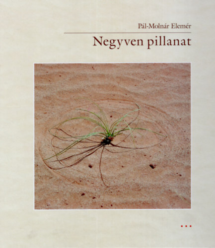 Pl-Molnr Elemr - Negyven pillanat