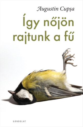 Augustin Cupsa - Így nőjön rajtunk a fű