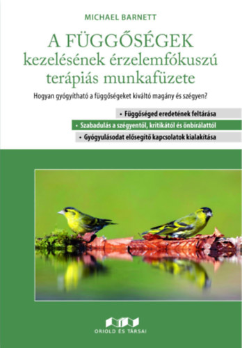 A fggsgek kezelsnek rzelemfkusz terpis munkafzete