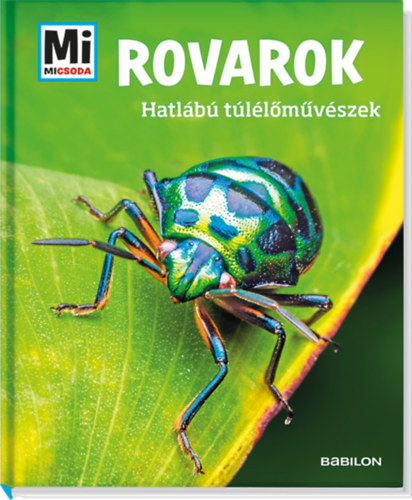 Rovarok - Hatl�b� t�l�l�m�v�szek