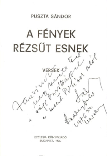 Puszta Sándor - A fények rézsűt esnek