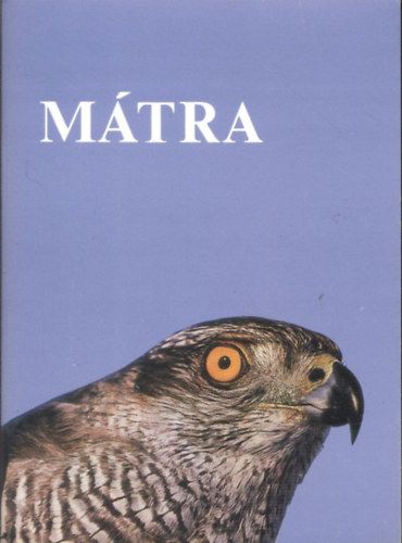 Kovcsn Fldessy Mariann - Mtra(ismertet a mzeum killtshoz)