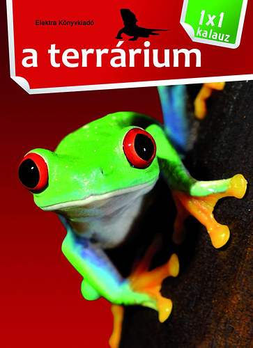 A terrrium - 1X1 kalauz