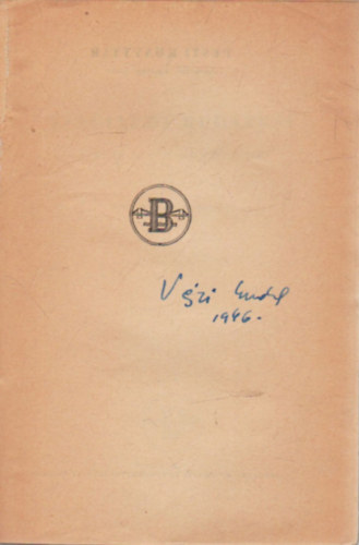 Vészi Endre - Elsűllyedt Budapest