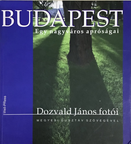 Megyesi Gusztv - Budapest - Egy nagyvros aprsgai