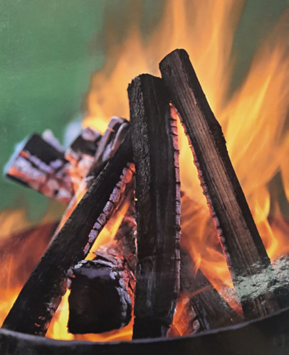 E. Truillé, B. Erath - Barbecue - Grillezés otthon és a szabadban