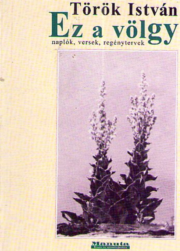 Török István - Ez a völgy ( naplók, versek, regénytervek 1928-1950)