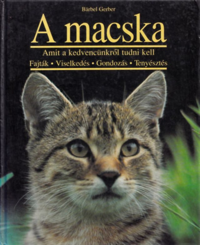 Barbel Gerber - A macska - Amit kedvencnkrl tudni kell: Fajtk, viselkeds, gondozs, tenyszts