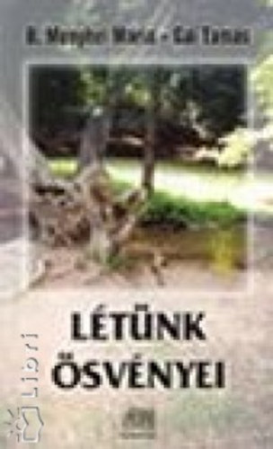 B. Menyhei M�ria-G�l TAm�s - L�t�nk �sv�nyei