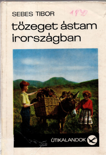 Sebes Tibor - Tzeget stam rorszgban