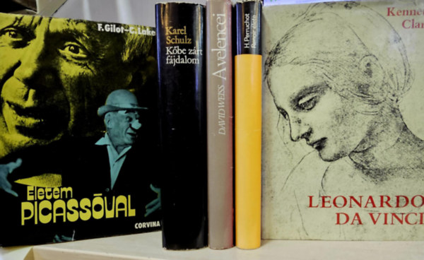 Gilot, F.-Lake, C., Karel Schulz, David Weiss, Henri Perruchot, Kenneth Clark - 5db m�v�szeti k�tet, K�NYVMENT� AJ�NLAT: �letem Picass�val+ K�be z�rt f�jdalom+ A velencei+ Renoir �lete+ Leonardo da Vinci