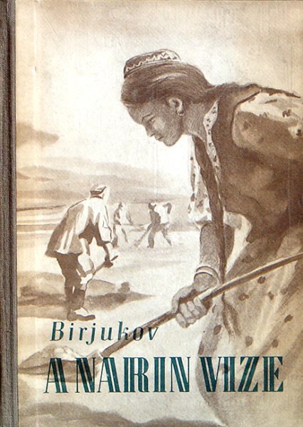 Birjukov - A Narin vize