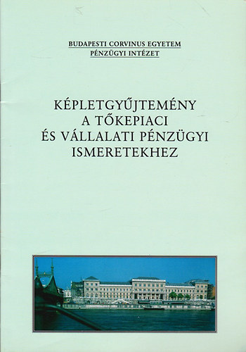Kovcs Nikolett (szerk.); Fazekas Gergely; Juhsz Pter - Kpletgyjtemny a tkepiaci s a vllalati pnzgyi ismeretekhez