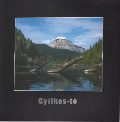 Bajna Gy�rgy, B�kai Magdolna (szerk.), Dezs� L�szl� - Gyilkos-t�