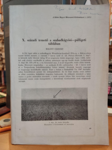 B�lint Csan�d - X. sz�zadi temet� a szabadk�gy�si-p�lligeti t�bl�ban