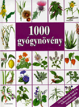 Hans W. dr. Kothe - 1000 gygynvny