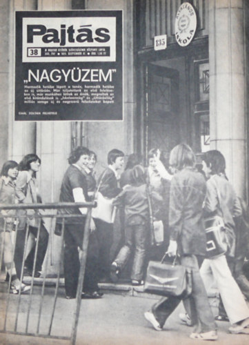 Vasvri Ferenc (szerk.) - Pajts XXX. vfolyam 38. szm