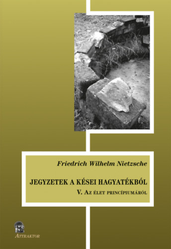 Friedrich Nietzsche - Jegyzetek a kései hagyatékból V.