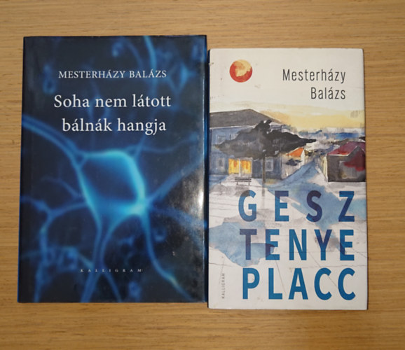 Mesterh�zy Bal�zs - 2 k�tet Mesterh�zy Bal�zst�l: Gesztenye placc, Soha nem l�tott b�ln�k hangjakort