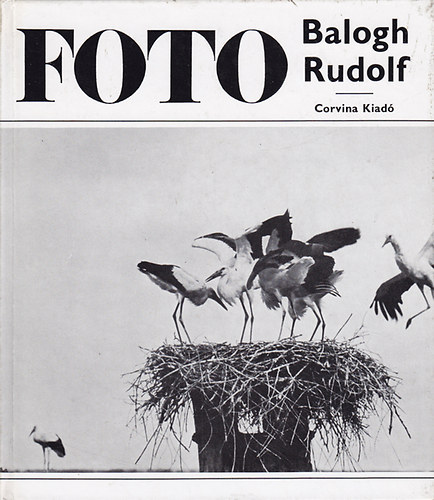 Balogh Rudolf - Foto