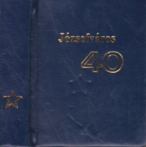 Tthn Deigner Anna, Szigeti Piroska - Jzsefvros 40. (miniknyv)