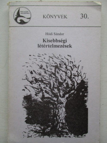 H�di S�ndor - Kisebbs�gi l�t�rtelmez�sek