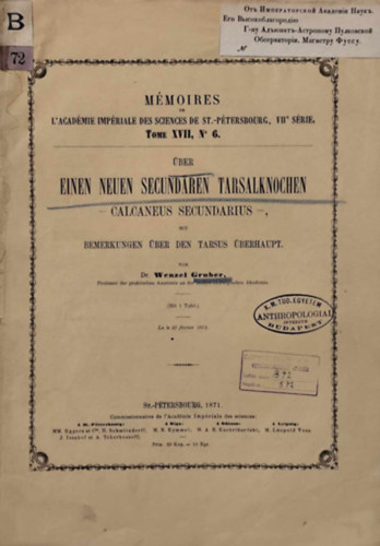 Wenzel Gruber - �ber Einen Neuen Secund�ren Tarsalknochen - Calcaneus Secondarius -, Mit Bemerkungen �ber Den Tarsus �berhaupt.