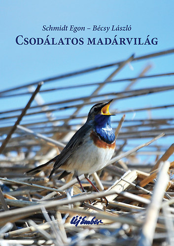 Schmidt Egon - Csodlatos madrvilg