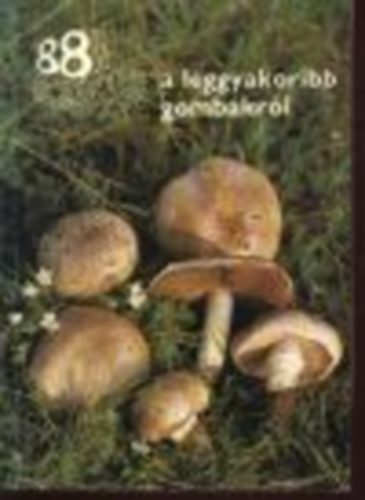 Dr. Rim�czi Imre - 88 sz�nes oldal a leggyakoribb gomb�kr�l