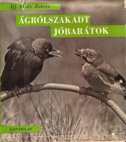 Ifj. Tildy Zoltán - Ágrólszakadt jóbarátok