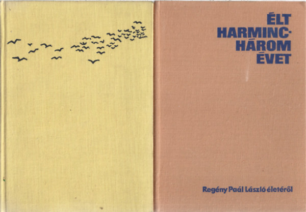 2 db k�nyv, Stone: Van Gogh �lete, Bar�t Endre: �lt harminch�rom �vet